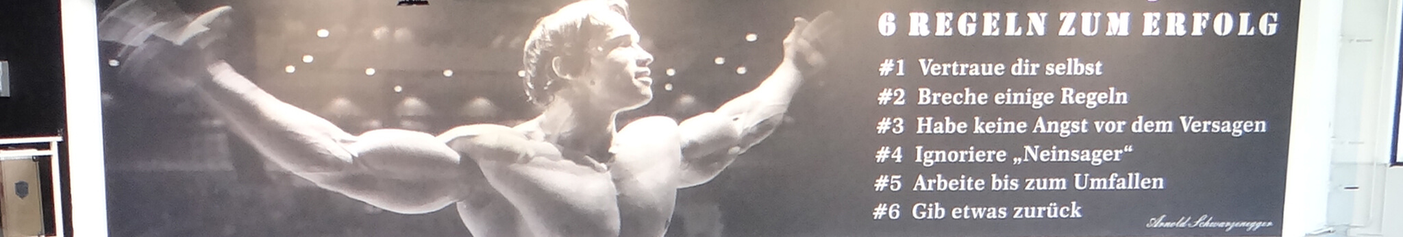 FLC-Heilbronn-Club-Hero-Image